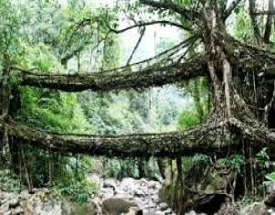 45349-SHILLONG.jpg