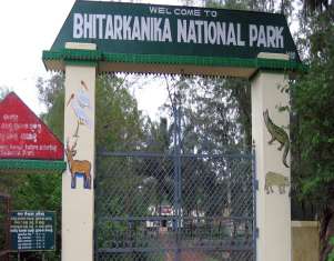 45393-bhitarkanika-national-park.jpg