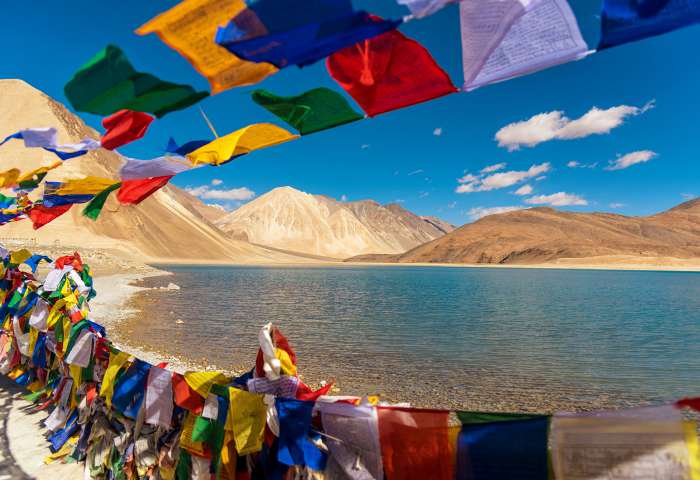 23015-leh.jpg